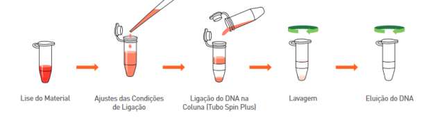 Kit De Extração De Dna Biopur Mini Spin Plus